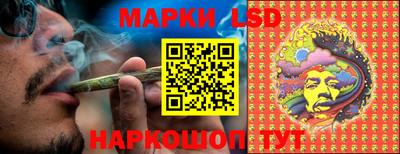 apvp Владимир