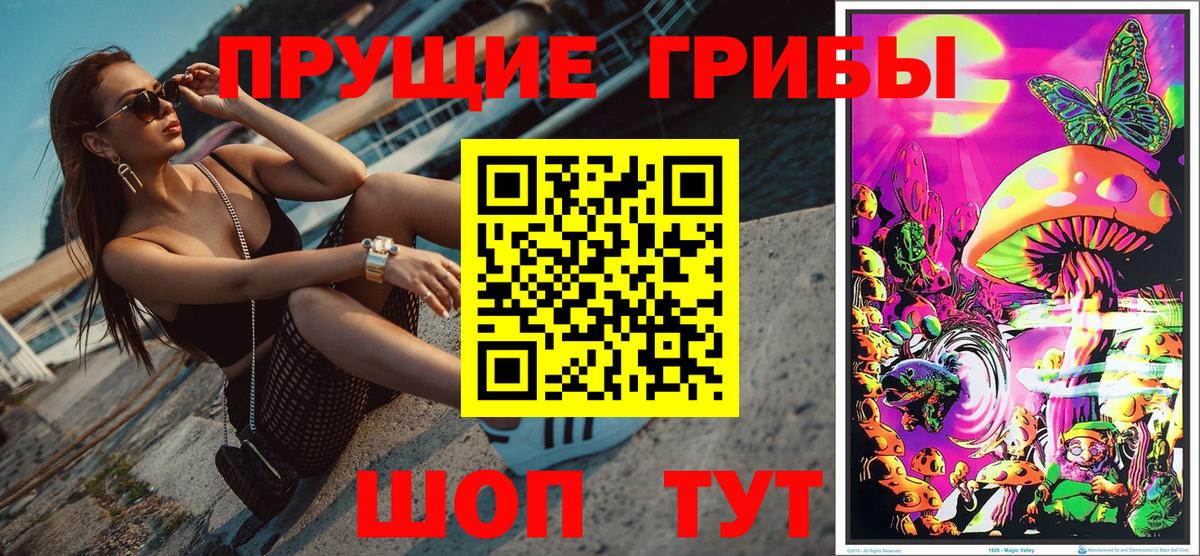 Долгопрудный  Псилоцибиновые грибы Psilocybe  Вход с VPN 